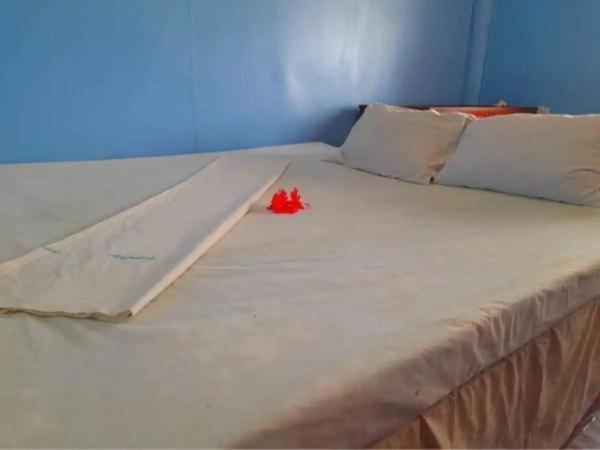 Mana Lagoon Backpackers Dış mekan fotoğraf